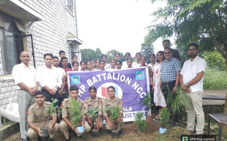 एबीवी राजकीय महाविद्यालय तकिपुर में वृक्षारोपण अभियान का किया आयोजन