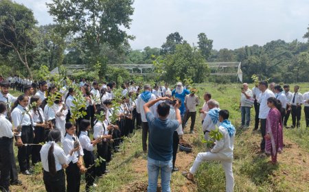 नादौन में पौधरोपण, विद्यार्थियों ने लिया पर्यावरण बचाने का संकल्प