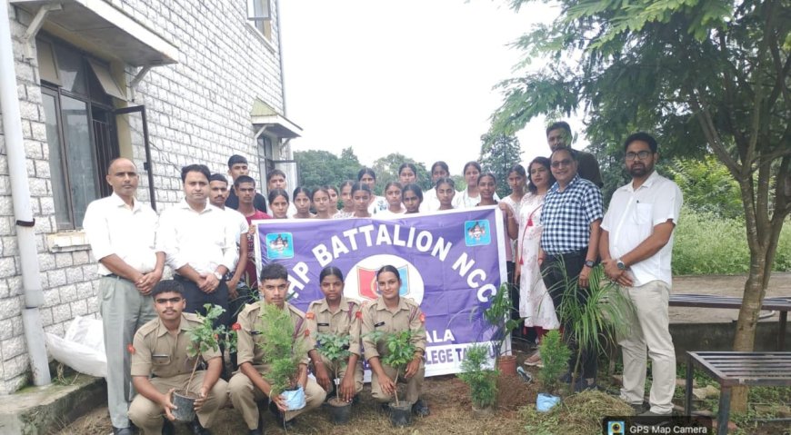 एबीवी राजकीय महाविद्यालय तकिपुर में वृक्षारोपण अभियान का किया आयोजन