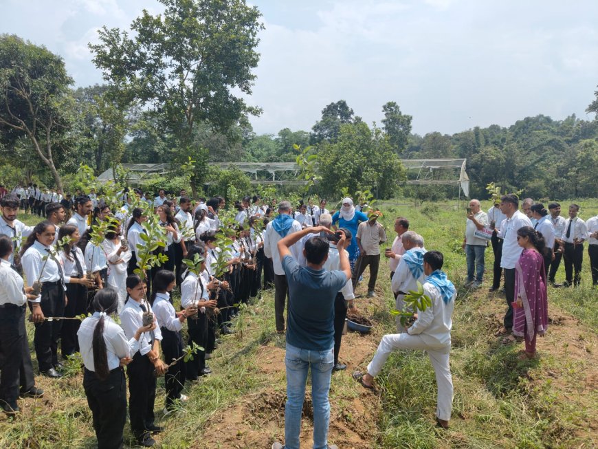 नादौन में पौधरोपण, विद्यार्थियों ने लिया पर्यावरण बचाने का संकल्प