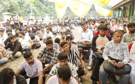 आईटीआई दौलतपुर कैंपस इंटरव्यू में 270 युवाओं का चयन