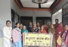 सिरमणी में स्वास्थ्य शिविर का किया आयोजन, 52 मरीजों की हुई जांच
