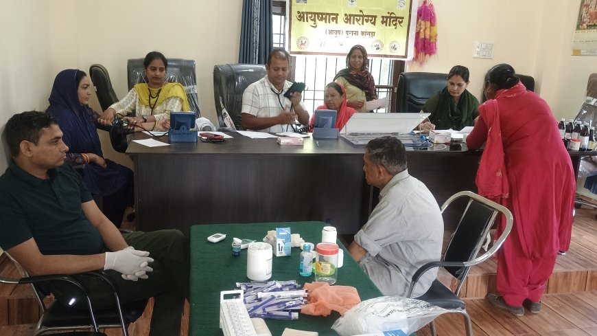 बीरता में आयुष विभाग ने लगाया स्वास्थ्य शिविर, 60 लोगों ने उठाया लाभ